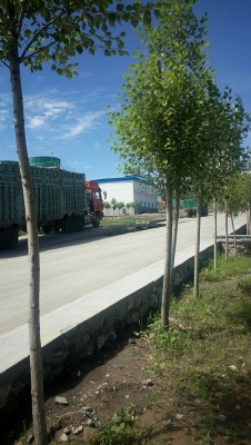 赤峰市大板家電城電話號碼-第1張圖片