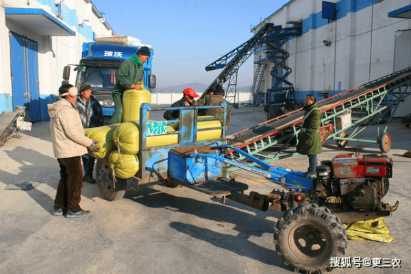 赤峰鳥獸市場電話號碼查詢是多少-第1張圖片