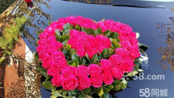 赤峰女子婚慶車(chē)隊(duì)電話號(hào)碼查詢(xún)-第1張圖片