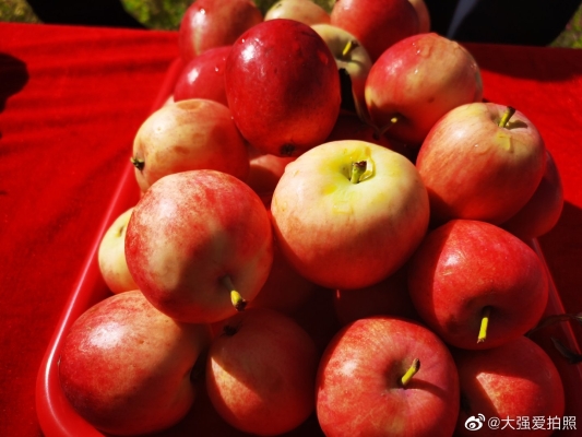 赤峰寧城維多利超市電話號(hào)碼-第1張圖片