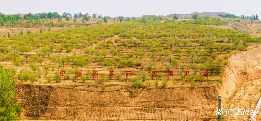 赤峰小鎮(zhèn)影視中心電話號碼是多少-第1張圖片