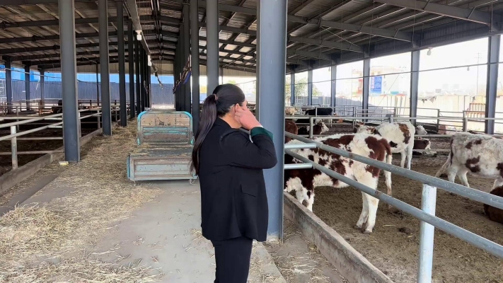 赤峰養(yǎng)?；匦∨Ｅl(fā)電話號碼-第1張圖片