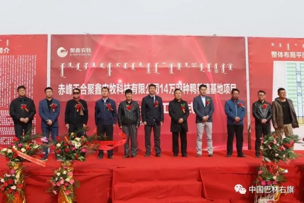 赤峰新城鴨貨店電話號(hào)碼多少-第1張圖片