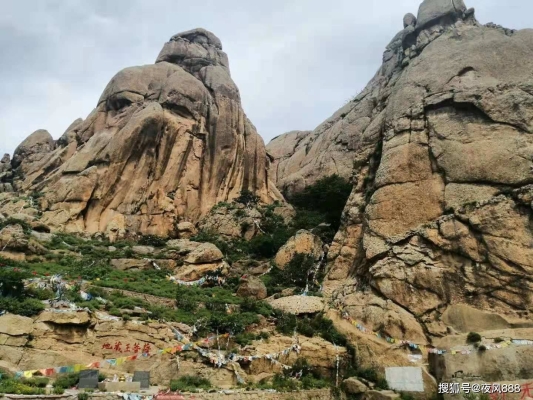 赤峰林西牛羊飼料店電話號碼-第1張圖片