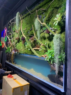 赤峰水岸天街花店電話(huà)號(hào)碼-第1張圖片