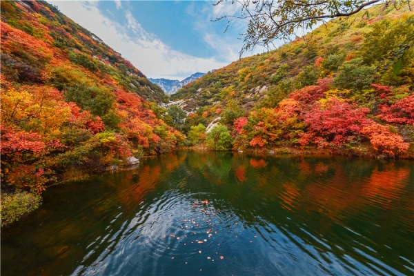 赤峰北山公墓電話多少啊-第1張圖片