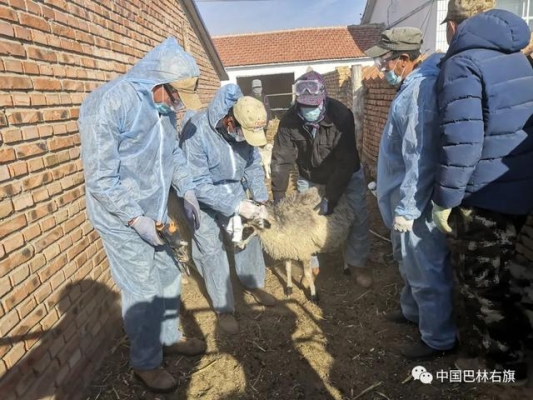 赤峰大板獸醫(yī)站電話地址查詢-第1張圖片