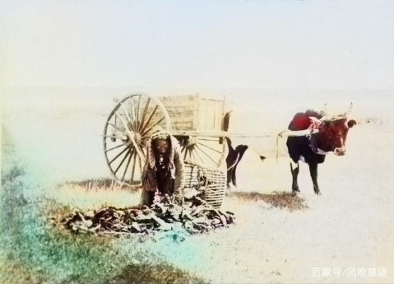 赤峰收牛糞聯(lián)系電話查詢號(hào)碼-第1張圖片