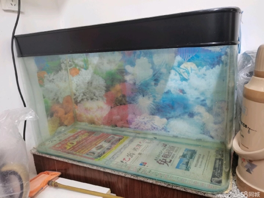 赤峰魚缸回收電話號(hào)碼多少號(hào)-第1張圖片