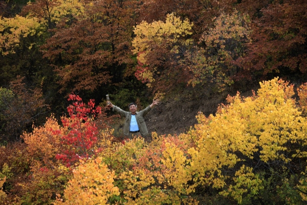 魯北到赤峰拼車(chē)電話號(hào)碼-第1張圖片