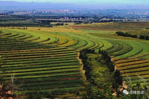 赤峰敖漢美容院電話號碼-第1張圖片