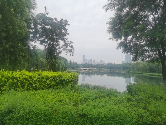 皇姑屯到赤峰班車電話號碼-第1張圖片