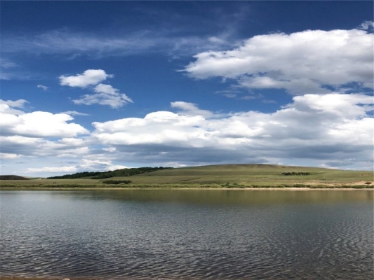 赤峰草原觀景民宿電話號(hào)碼-第1張圖片