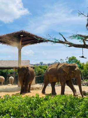 赤峰萬悅動(dòng)物園電話號(hào)碼-第1張圖片