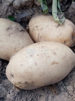 赤峰西城果蔬直銷處電話號(hào)碼-第1張圖片