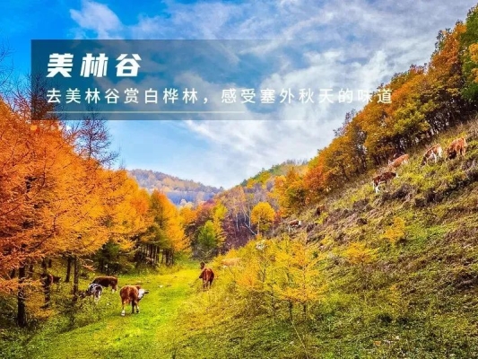 赤峰山頂酒店電話(huà)多少啊-第1張圖片