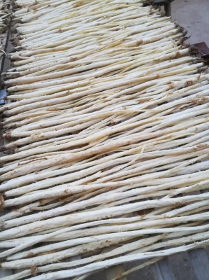 赤峰原塘鯉魚批發(fā)電話號碼-第1張圖片