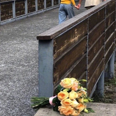 赤峰大娘打電話 笑不活了-第1張圖片