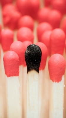 赤峰賣燒火柴木頭的電話號碼-第1張圖片