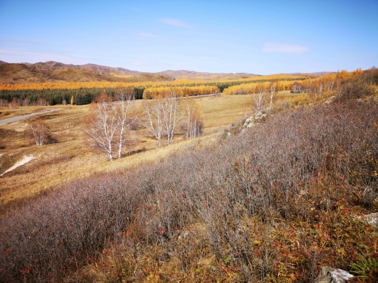 赤峰林西皮帶廠電話號碼-第1張圖片