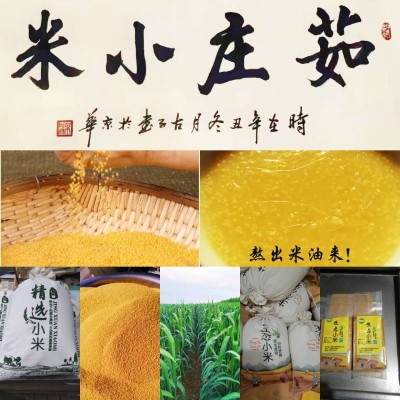 收谷子電話 赤峰-第1張圖片