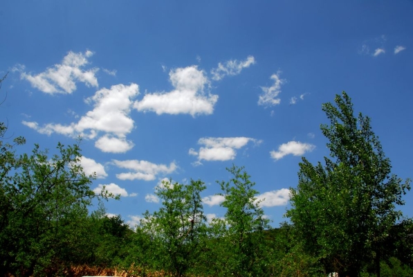 赤峰到喀左順風(fēng)車電話號(hào)碼-第1張圖片