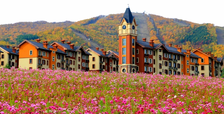 赤峰市喀喇沁旗審車(chē)電話號(hào)碼-第1張圖片