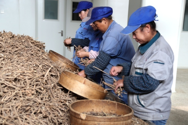 赤峰牛營子收購藥材電話-第1張圖片