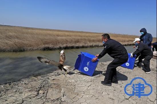 赤峰候鳥過境政策查詢電話號碼-第1張圖片