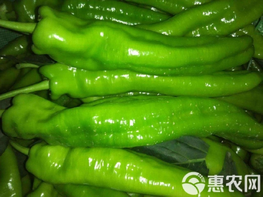 赤峰寧城批發(fā)涼皮電話號(hào)碼-第1張圖片