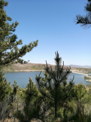 赤峰牛營子水暖廠電話號碼-第1張圖片