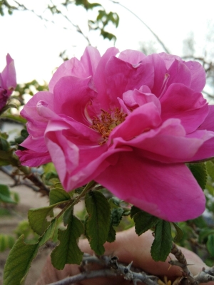 赤峰市書聲鄉(xiāng)政府電話號碼-第1張圖片