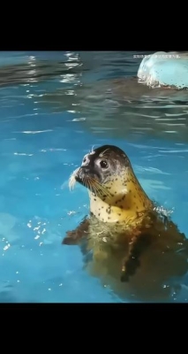 赤峰海底世界海洋館電話號碼-第1張圖片