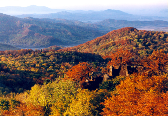 赤峰松山區(qū)代駕電話-第1張圖片