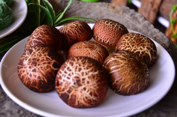 赤峰雷營子野菜館電話號碼-第1張圖片