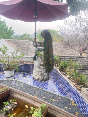 星光夜市赤峰店電話號碼查詢-第1張圖片