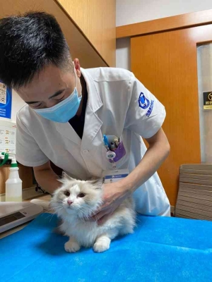 赤峰市曹大夫診所電話號(hào)碼-第1張圖片