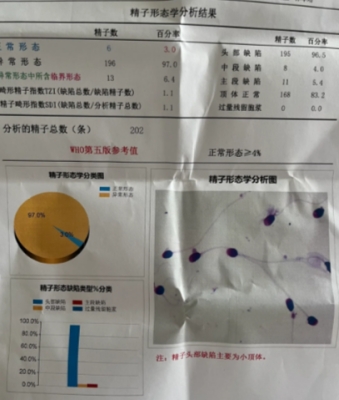 赤峰市男科檢查醫(yī)院電話號碼-第1張圖片