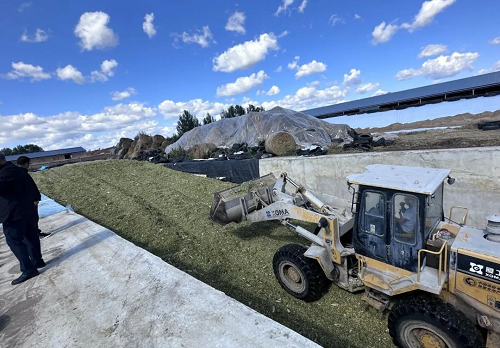 赤峰玉米配送電話是多少號-第1張圖片