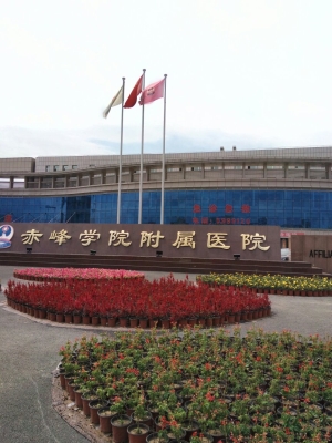 赤峰市公交總站地址電話號碼-第1張圖片