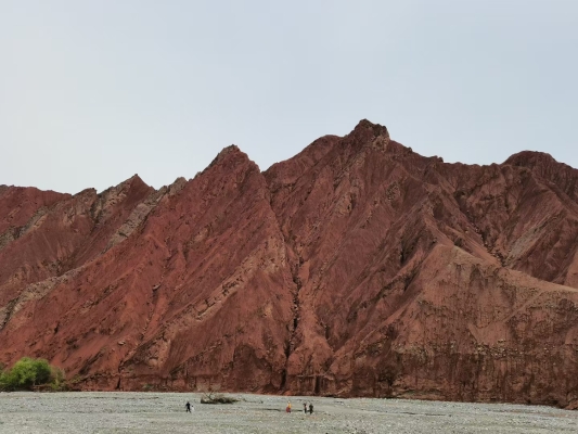 赤峰紅山區(qū)辦證詐騙電話號碼-第1張圖片