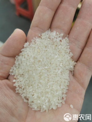 赤峰碎米批發(fā)電話號碼多少-第1張圖片