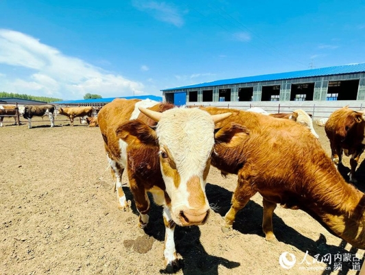 赤峰市西山煤礦地址電話號碼-第1張圖片