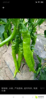 赤峰市橋頭鎮(zhèn)簡介-第1張圖片