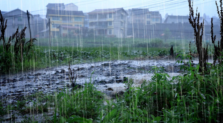 赤峰雨點(diǎn)供應(yīng)鏈招聘電話地址-第1張圖片