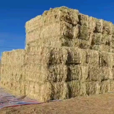 赤峰天然草捆出售信息電話號碼-第1張圖片