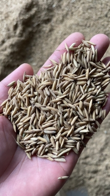 赤峰拾禾谷子店電話地址查詢-第1張圖片