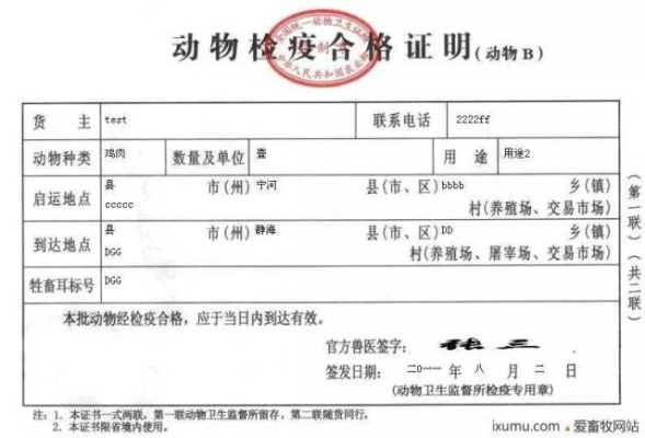 赤峰寵物托運飛機電話號碼-第1張圖片