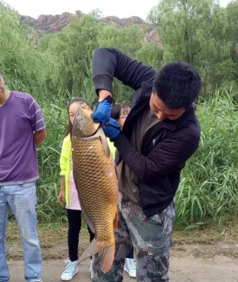 赤峰釣魚(yú)租桿電話號(hào)碼查詢-第1張圖片