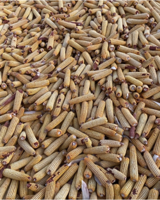 赤峰玉米制品廠電話號(hào)碼-第1張圖片